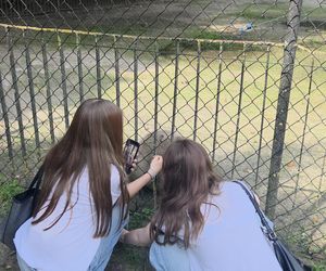 Zaglądamy do mieszkańców bydgoskiego ZOO. Kto mieszka w sercu Myślęcinka?