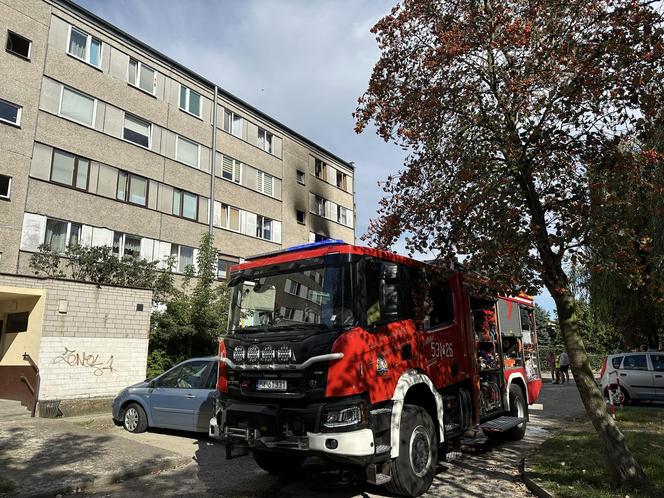 Pożar przy ulicy Matejki w Ostrowie. Sprawę wyjaśnia policja 