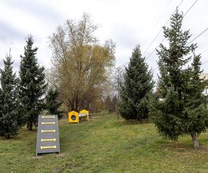 Kolejne „nadziane przysmaki” w psim parku w Rzeszowie. Mieszkańcy ostrzegają 