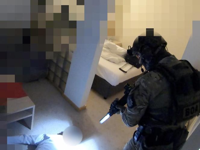 Kilkanaście osób zatrzymanych! Potężna akcja kryminalnych uderzyła w gang parszywych oszustów