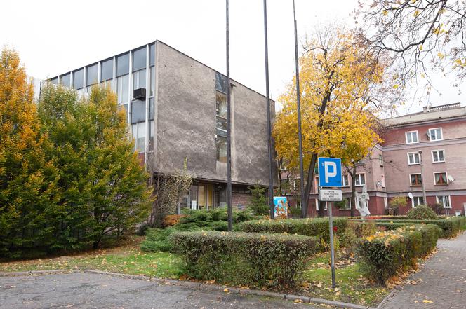 METAMORFOZA SZKÓŁ ARTYSTYCZNYCH