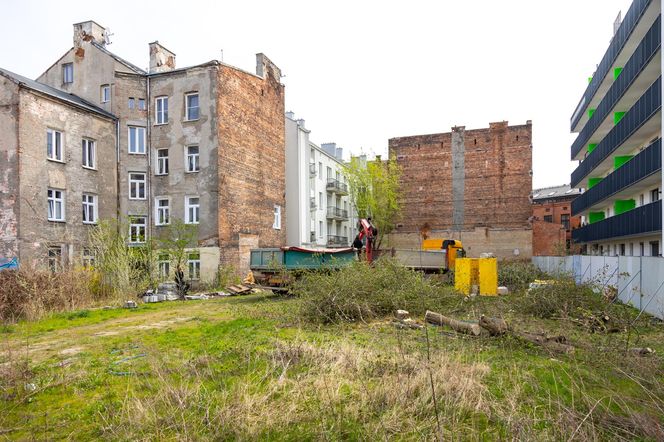 Nielegalna wycinka drzew przy ul. Radzymińskiej 14 w Warszawie