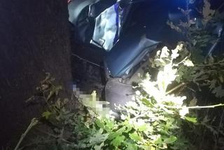 Opolskie. 19-latka zmiażdżona w Cinquecento. Zginęła w szpitalu