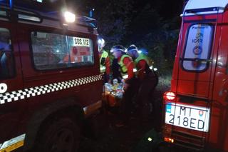 Niedźwiedź zaatakował biegacza. 38-latek ma drastyczne obrażenia