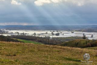 Rozlewisko Odry w powiecie gryfińskim 