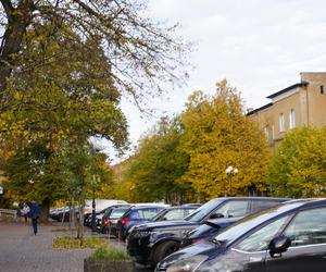 Kolorowe drzewa i klimatyczne kamienice. Ta ulica w Olsztynie zachwyca jesienią