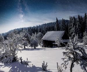 Tradycje świąteczne na Podhalu. Górale w szczególny sposób świętują Boże Narodzenie [GALERIA]