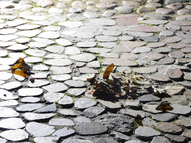 Kolejna krwawa awantura na Bulwarach Wiślanych. W ruch poszło szkło z porozbijanych butelek. Jedna osoba w szpitalu