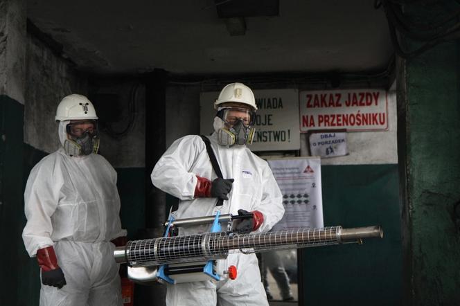Polska Grupa Górnicza kontra koronawirus. Tak wygląda walka na kopalniach