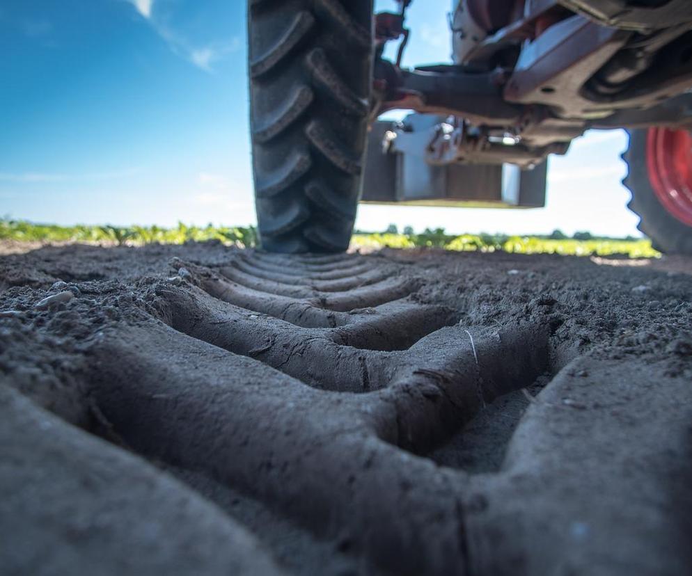 Zbliża się jedna z największych imprez rolniczych. Agro-Park już w następny weekend