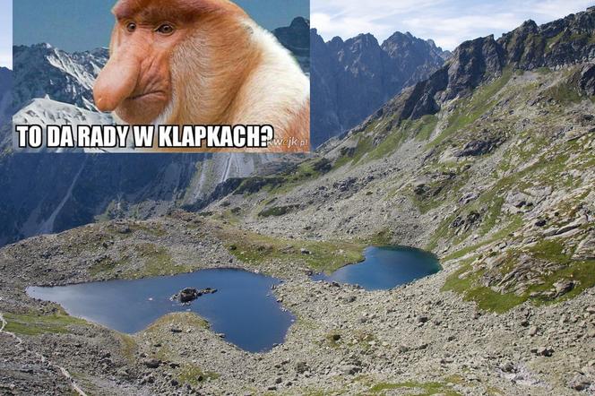 Najlepsze memy o turystach w górach. Te obrazki znane z Tatr bawią do łez 