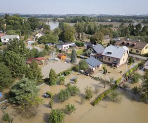 Burmistrz wyjechała na drogie wakacje, w tym czasie jej miasteczko zalała wielka fala. Nie wrócę