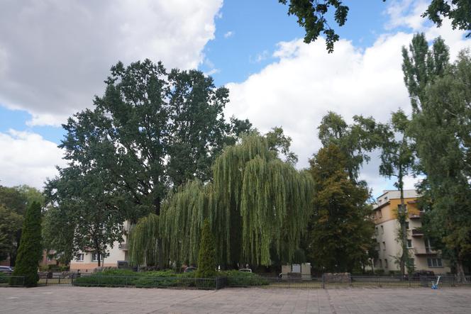 Plac Mordechaja Tenenbauma. To część Skweru przy Żabiej w Białymstoku