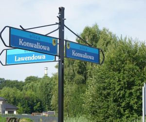 Konwaliowa do remontu