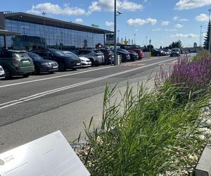 Zazieleniony teren parkingu i pasażu przed terminalami Katowice Airport