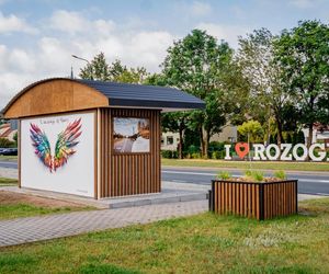 Takiej inicjatywy w Polsce jeszcze nie było. W tej gminie na Mazurach przystanki są jak dzieła sztuki