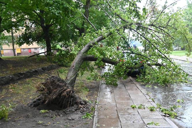 Burze i nawałnice przeszły nad Polską. Strażacy podali miażdżące dane