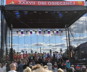 Dni Osiecznej