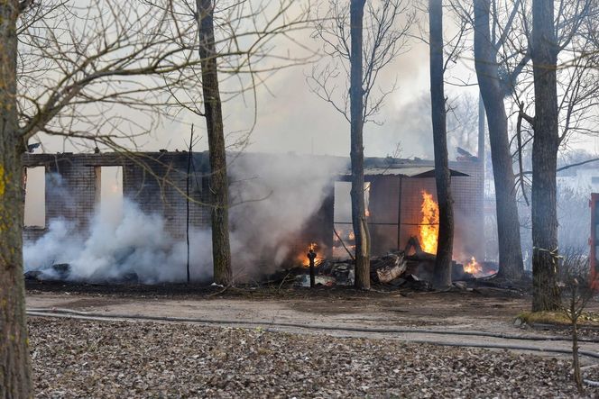 Pożar pustostanów przy ul. Grudziądzkiej w Toruniu. To nie pierwszy raz!