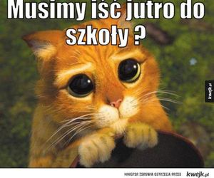 MEMY na rozpoczęcie roku szkolnego 2025/2026