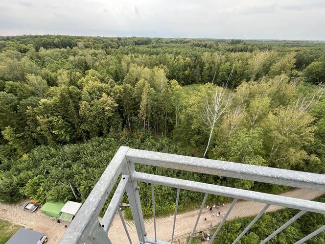   To najwyższa wieża widokowa w warmińsko-mazurskim. Trzeba pokonać niemal 200 schodów. Zobacz zdjęcia