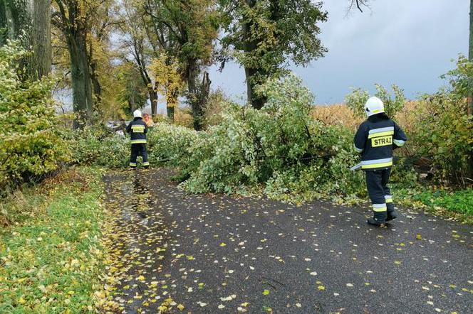 Potężny wiatr w Bydgoszczy i regionie! IMGW wydaje żółty alert pogodowy [27.05.2022]