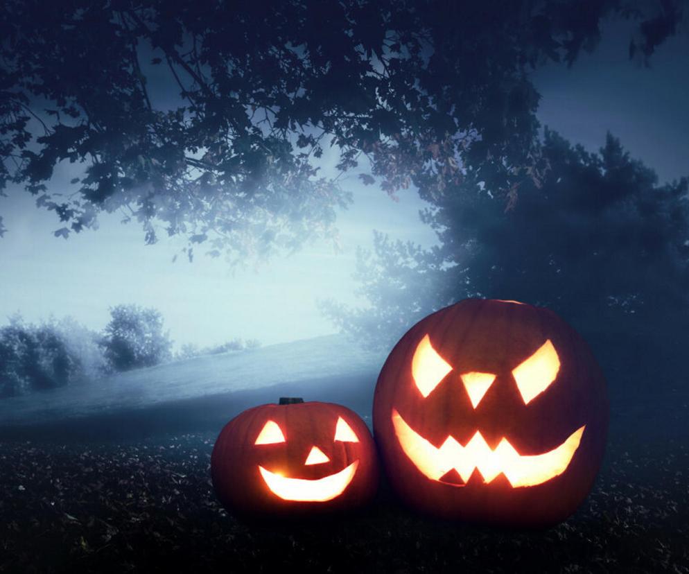 Mgła spowija całą Polskę! Makabryczne Halloween dla kierowców! IMGW bije na alarme