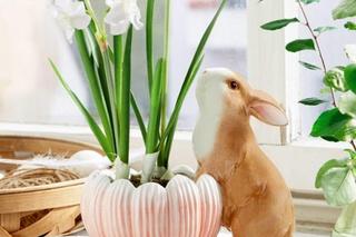 Doniczka wielkanocna