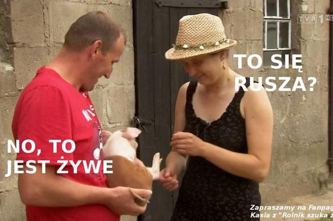 Rolnik szuka żony Memy
