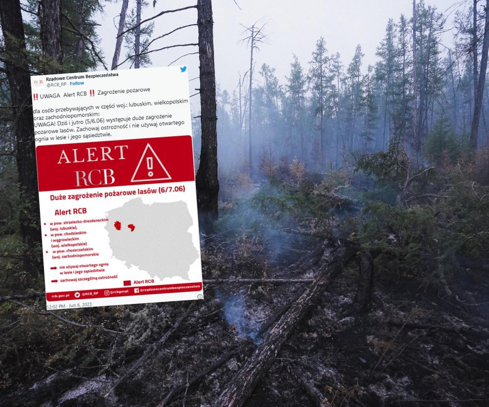 RCB ostrzega przed zagrożeniem pożarowym w lasach