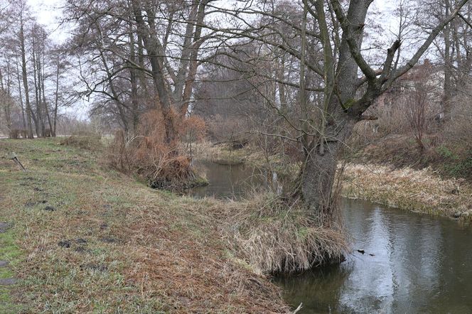 Spacer doliną Bystrzycy na lubelskim Wrotkowie