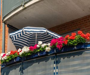 Leżak i parasol - tyle wystarczy, by balkon stał się plażą w mieście