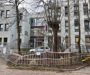 Sopot. Dziki urodziły się obok parkingu. Maciora i warchlaki przy Centrum Opieki Geriatrycznej