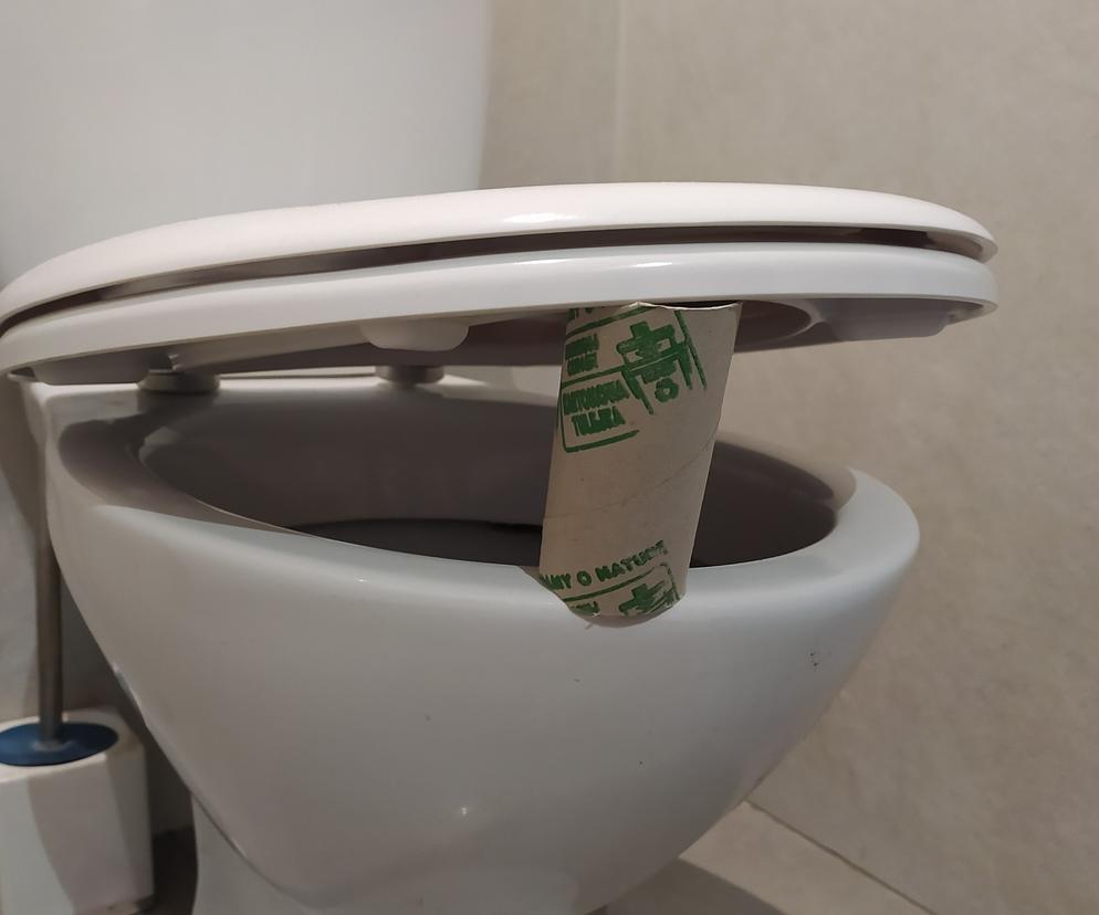 Co oznacza pusta rolka papieru toaletowego pod deską? To ważny znak! 