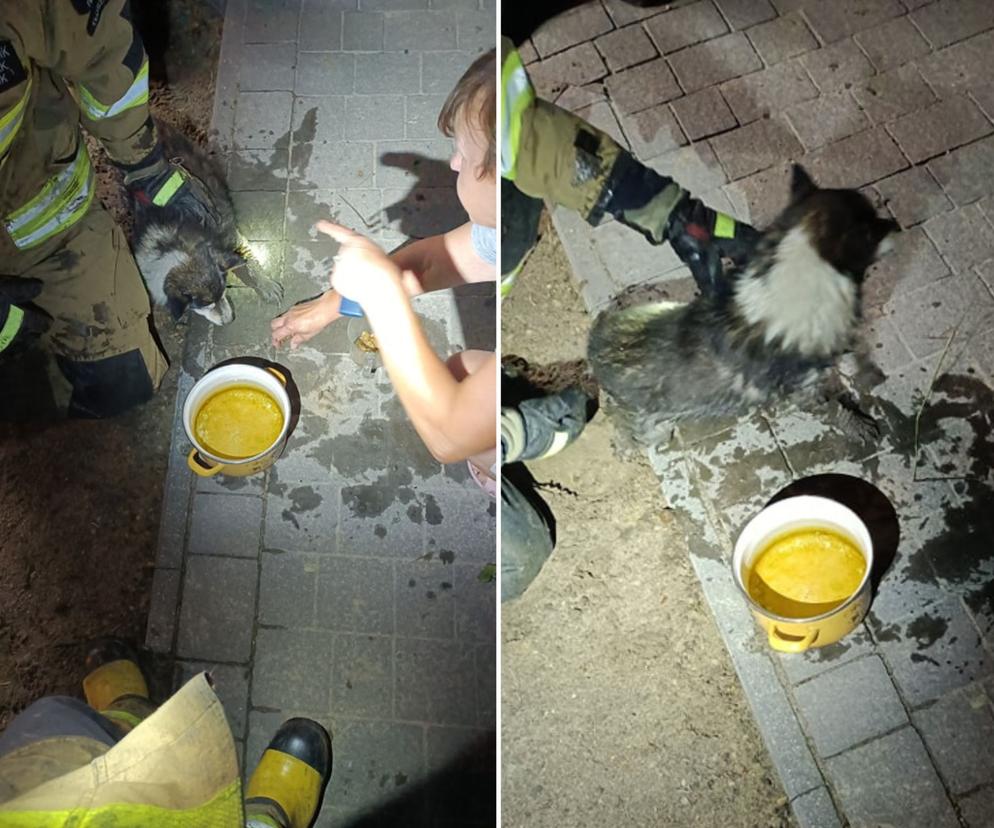 Malutki piesek utknął w rurze. Strażacy uratowali biedne zwierzę w ostatnim momencie!