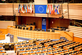 Wybory do Parlamentu Europejskiego 2024. Zasady
