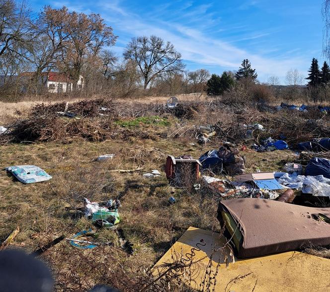 Tona śmieci na działkach pod Gorzowem. Burza w sieci