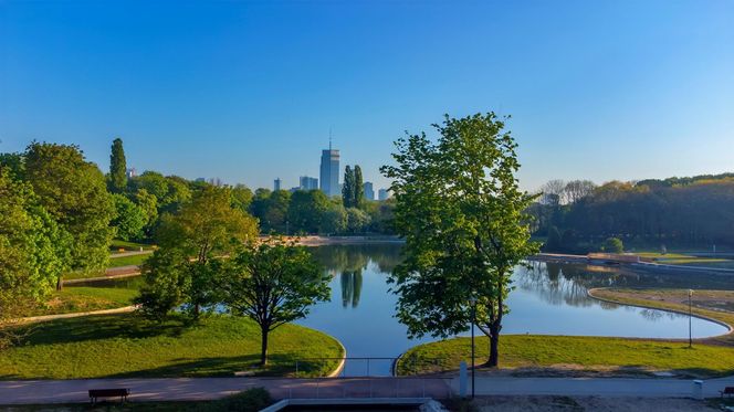 Najpiękniejszy park na świecie znajduje się w Warszawie? Ten Central Park wygląda jak z bajki Disneya