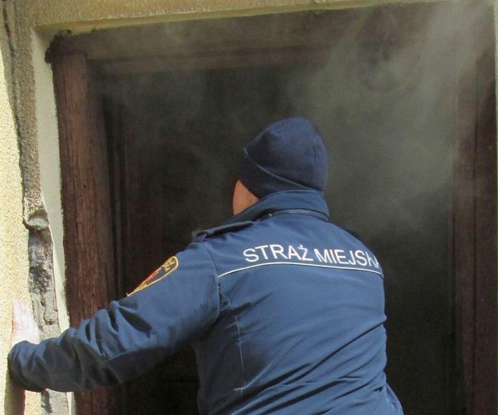 Pożar w Warszawie. Pilna ewakuacja matki z dwójką dzieci. Ogień ugasili grabiami