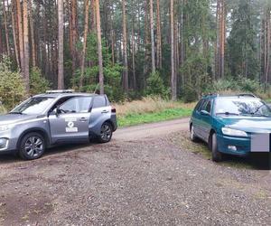 Specjalne leśne patrole. Policjanci i leśnicy kontra grzybiarze