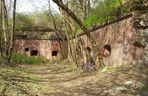 Fort VII