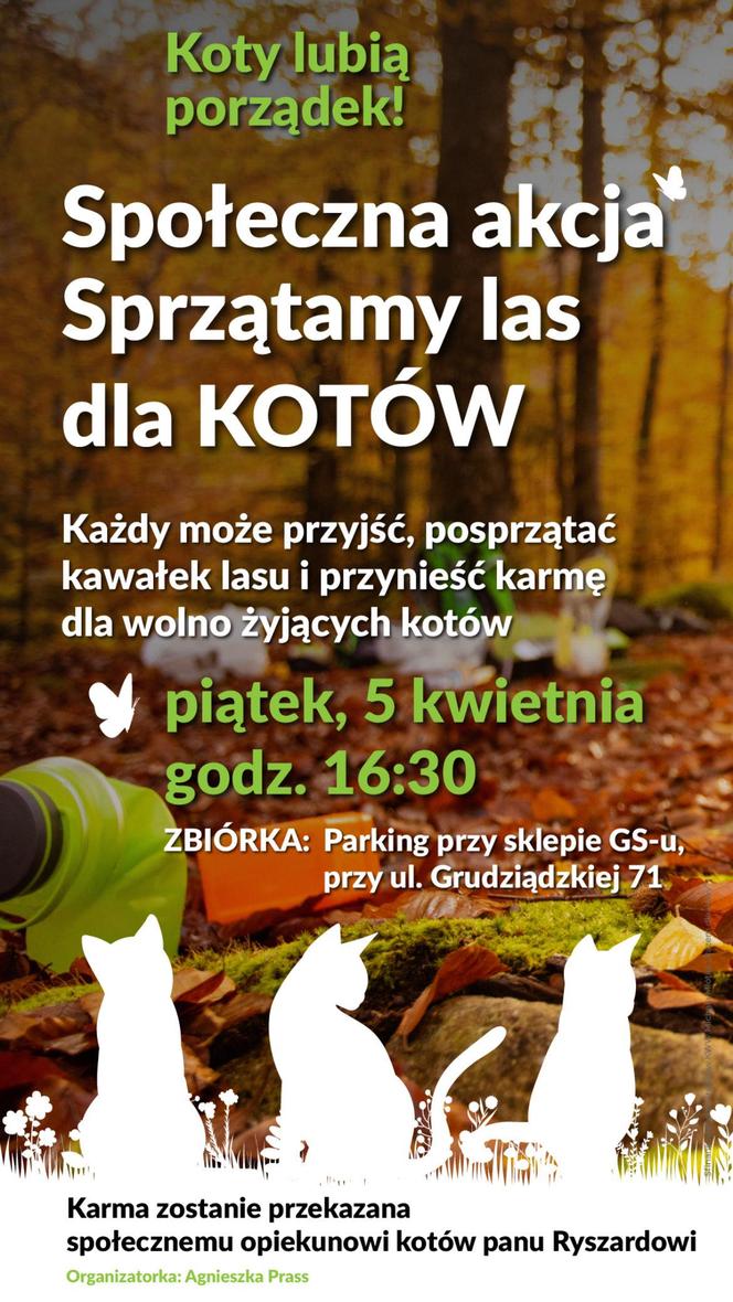 Posprzątali iławski las... dla kotów!