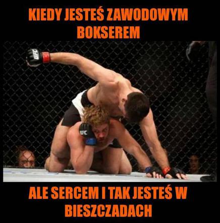 Memy o Bieszczadach