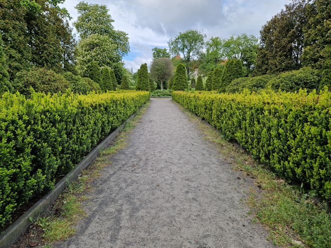 Sielanka, czyli zielona perła Bydgoszczy, o której mało kto pamięta!