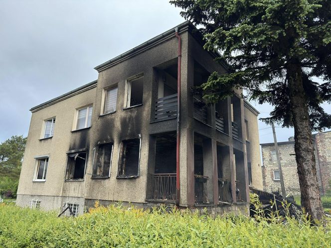Bohaterska akcja strażaków. Z płonącego budynku wynieśli dwa koty i psa. Rodzina straciła cały dobytek