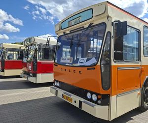 II Zlot Zabytkowych Autobusów w Starachowicach