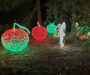 Lumina Park w Poznaniu. Multimedialny spacer w milionie świateł powraca w nowej odsłonie