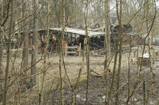  Spłonęła stadnina koni Huculski Raj na warszawskiej Białołęce. Ruszyła zbiórka na pomoc!