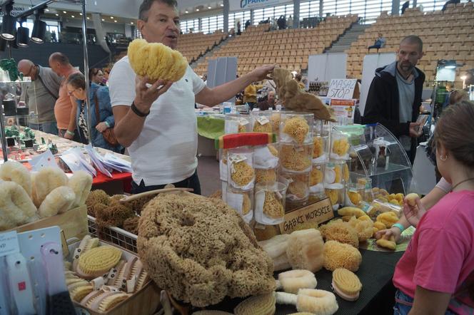 Giełda Minerałów, Biżuterii i Skamieniałości Geo Expo 2023 w Bydgoszczy. Tłumy w SISU Arenie [ZDJĘCIA]