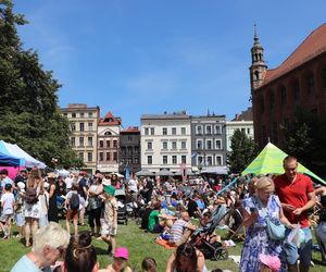 Śniadanie na Trawie Toruń 2025